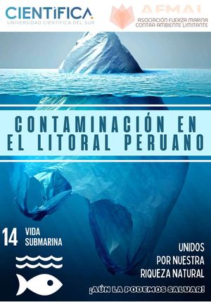 Contaminación en el Litoral Peruano