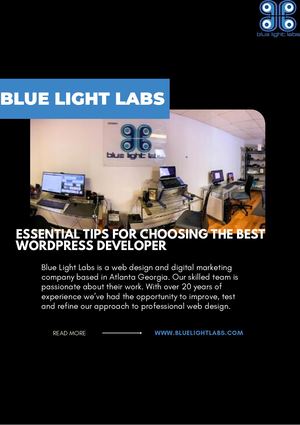 Choosing The Best Atlanta Website Design Blue Light Labs