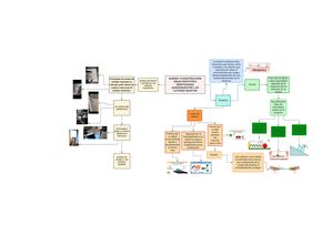 Mapa Mental De La Maquina Newtoneana Proyecto 3 Marcos Toaquiza