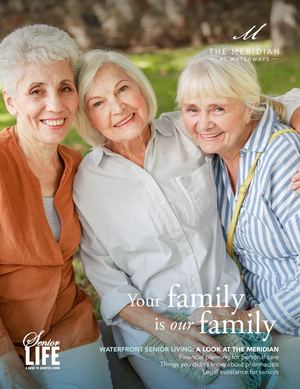 The Merdian At Waterways Brochure