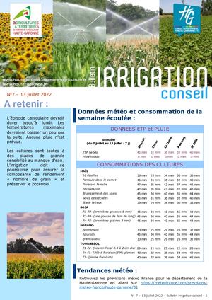 2022 Bulletin Irrigation Été N°7