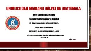 Posiciones Y Regiones Corporales De Anatomia