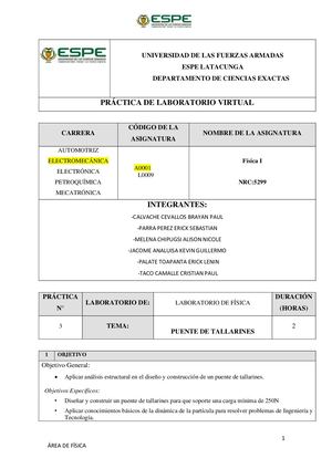 Informe Diseño Y Construccion Puente De Tallarines Calvache Parra