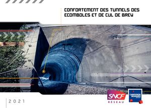 Tunnel des Ecomboles  - Album photo de chantier