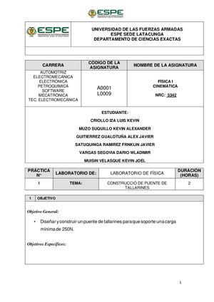 Informe Puente De Tallarines