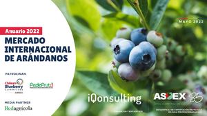 220525 Anuario 2022 Mercado Internacional De Arándanos