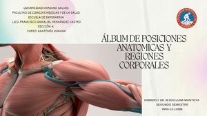 POSICIONES ANATOMICAS Y REGIONES CORPORALES