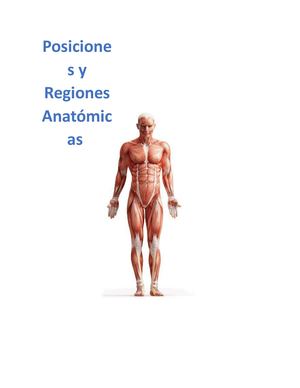 Posiciones Corporales