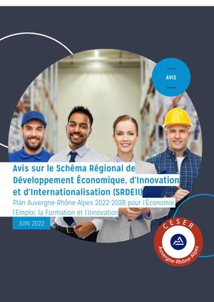 Avis Final Plan Economie, Emploi, Innovation (Srdeii)