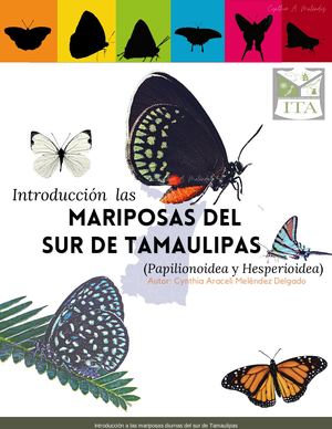 INTRODUCCIÓN A LAS MARIPOSAS DIURNAS DEL SUR DE TAMAULIPAS