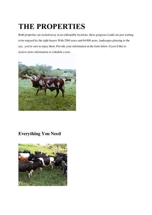 +27810378598 Land & Livestock Sale ~ Livestock ~ Cattle ~Ankole ~ Boran