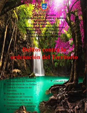 Revista Digital Delitos Contra La Ordenacion Del Territorio