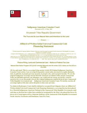 UCC1 STRAWMAN LIEN PUBLIC RECORD