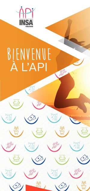 ASSOCIATION DES PERSONNELS DE L'INSA - API