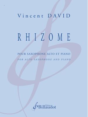 Vincent DAVID - Rhizome