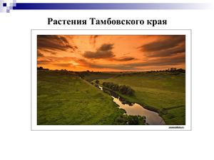 Растения Тамбовского края