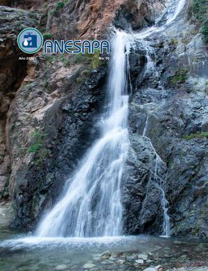 Anesapa 50 Web
