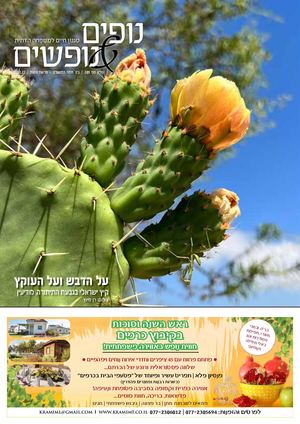 נופים&נופשים גיליון מס׳ 289 | כג׳ תמוז ה'תשפ"ב | פרשת מטות | 22.7.22