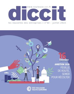 Diccit 44 Web