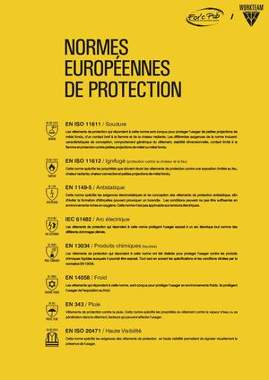 Normes WORKTEAM/FOR'c PUB