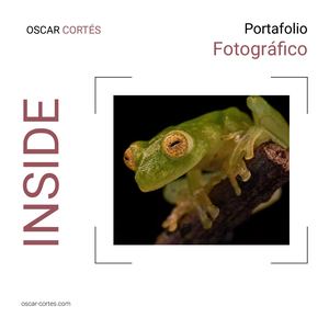 Portafolio Fotografico Oscar Cortes