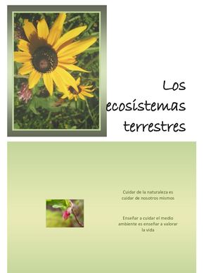 Ecosistema terrestre
