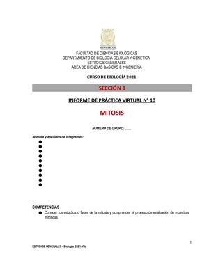 Sem 10 Informe Mitosis 2022