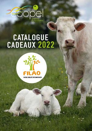 Filao Catalogue 2022