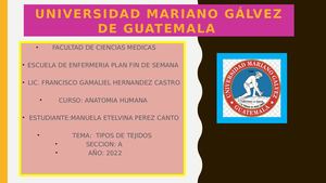 Album De Tipos De Tejidos Anatomia Humana