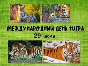 День тигра