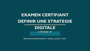 Etude de cas MBA Digital Strategy