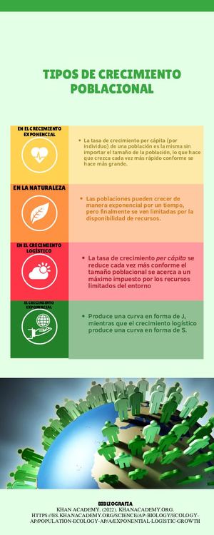 Infografía De Datos De Alimentos Saludables Colorido