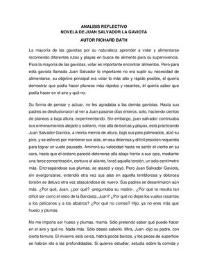Análisis de la Novela Juan Salvador la Gaviota