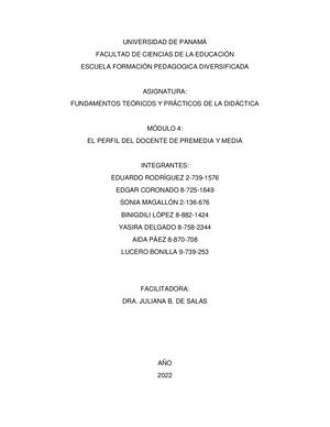 Grupo N° 4 Investigación Perfil del Docente en Premédia y Media