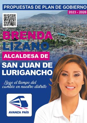 Propuestas de Plan de Gobierno - Brenda Lizano
