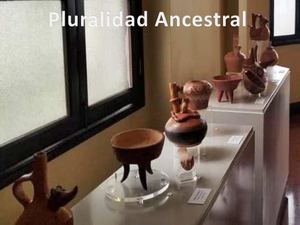 Pluralidad Ancestral del Grupo Artebaro-Meraki