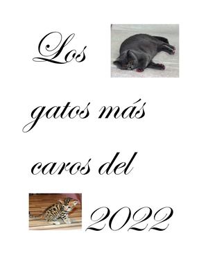 Los Gotos Mas Caros Del Mundo