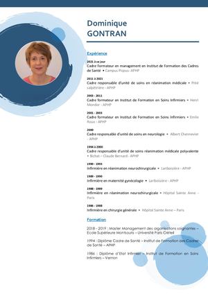 Cv Dominique Gontran - Ifcs