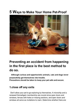 Five Ways to Pet-Proof Your House