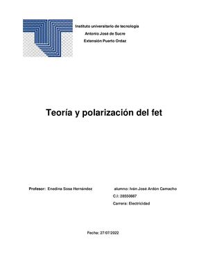 Teoria Y Polarizacion Del Fet