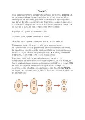 Alexander Enmanuel Orozco Ramirez 11c 15,