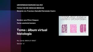 Album Histologia