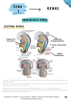 Portafolio Práctico Parte 2 Ma José Arteaga