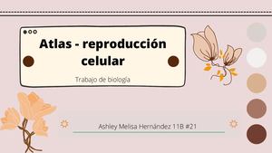 Reproducción Celular