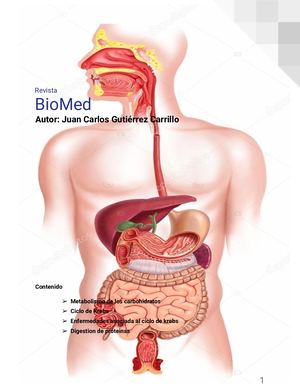 Revista Biomed