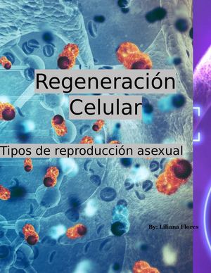 Regeneración Celular - Tipos de reproducción asexual