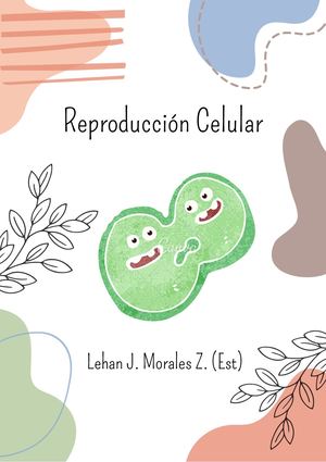 Reproducción Celular