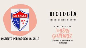 Reproducción Asexual