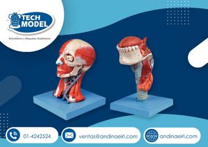 Maquetas - Tech Model