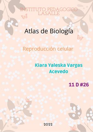 Atlas de Reproducción celular